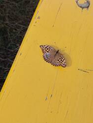 IMG_20250830_153630910.jpg