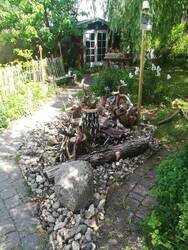IMG_20250530_122420.jpg