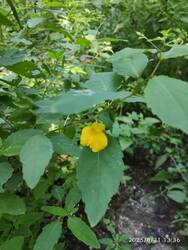 IMG_20250831_133611.jpg