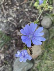 IMG_2065.jpeg