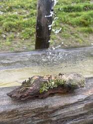 IMG_3272.jpeg