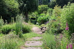 IMG_5533.JPG