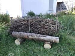 Benjes-Hecke 1 - Hortusseite