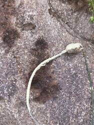 IMG_2139.jpeg