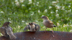 IMG_2147.jpeg