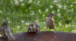 IMG_2142.jpeg