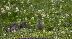 IMG_2145.jpeg