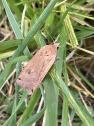 IMG_1983.jpeg