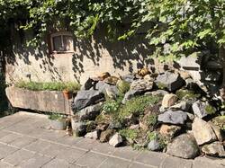 IMG_4056.jpeg