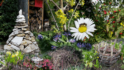 Hortus_2020-96b68531.png