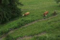 _MG_3795.JPG