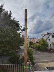 Meisenknödel