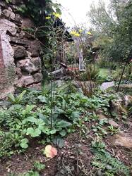 IMG_4125.jpeg