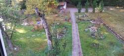 Blick vom Haus nach Norden