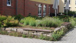 Kräuter Hochbeet in Trockenmauer