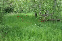 PICT0032.JPG