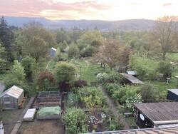 Garten im April 2025