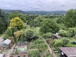 Garten im Juni 2025