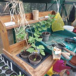 Pflanztisch