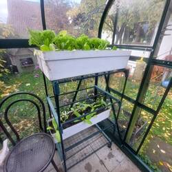 Regal mit verstellbaren Böden