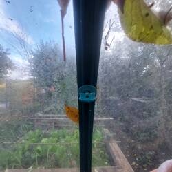 Mit diesen Steckern ist das anbringen vom Schattennetz kein Problem