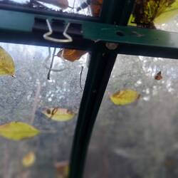 Die vorhandenen Löcher im Rahmen sind fürs aufleiten ideal, die Büroklammern sind perfekt zum flächig befestigen