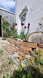 Die Fassadenbegrünung steht in den Startlöchern.