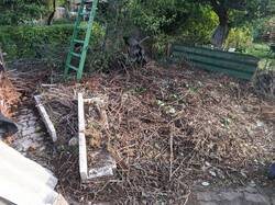 Nur ein kleines Beispiel des im Garten gelagerten Unrates zwischen dem Grünschnitt und den Brombeeren....