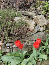 Kräuterspirale (Detail) mit Sonnenfalle