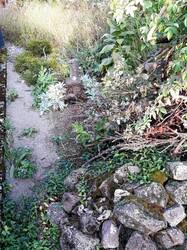 Rechts von der Eidechsenburg schließt sich ein großer Reisighaufen an. Der Splittpfad führt zum Magerbeet.