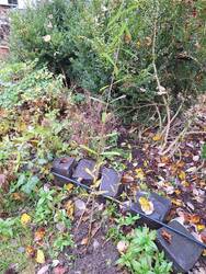 Das ist gegenüber von den im Frühjahr gepflanzten Weiden, auf der anderen Seite vom Möchtegernteich. Dort muss ich auf Ausläufer vom entfernten Kirschlorbeer aufpassen. Der zweite Steckling passte aber gut dorthin.