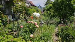 WestlichDerKräuterspirale