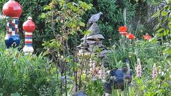 Unsere Pyramide mit Kröte im Souterrain