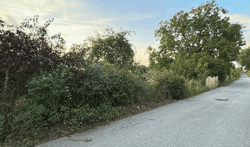 Pufferzone Straße.png