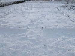 Unser zukünftiger Gemüsegarten