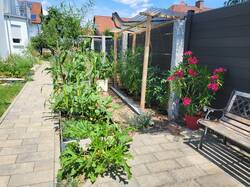 Teil der Ertragszone