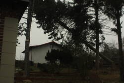 _MG_4600.JPG (339.84 KiB) 130 mal betrachtet mittendrin