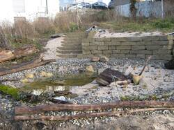 25 Garten Teich2.JPG