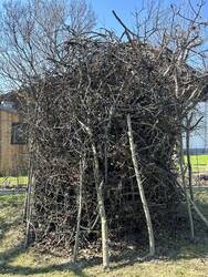 Totholzhaufen obstgarten.jpg