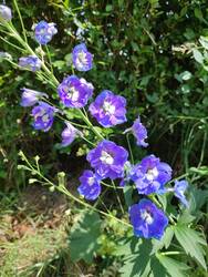 IMG_20230702_125205.jpg