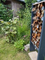 Selbstgebautes Insektenhotel