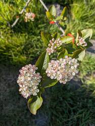 PXL_20260507_153707866.jpg