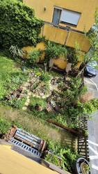 Gartenansicht von oben