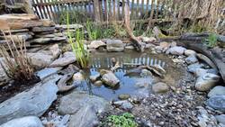 Teich mit Trockensteinmauer auf der linken Seite