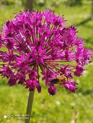 IMG_20200518_142819.jpg