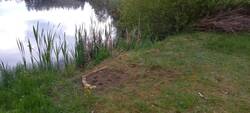 Teich 1.jpg