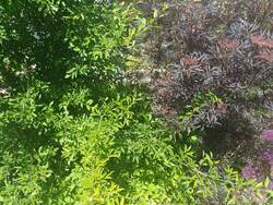 20260525_133250.jpg