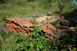 kleiner Teich mit Sandarium