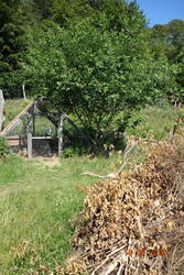 Totholzhaufen und Kaninchenstall