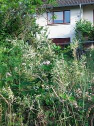 20260618_073611.jpg